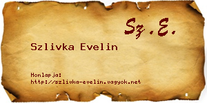 Szlivka Evelin névjegykártya